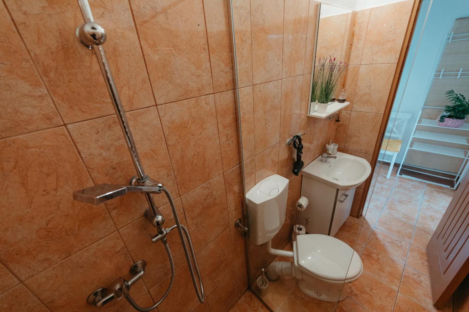 Flh - Apartament Mai Cu Aroma De Cafea Si Ceai Sibiu Eksteriør billede