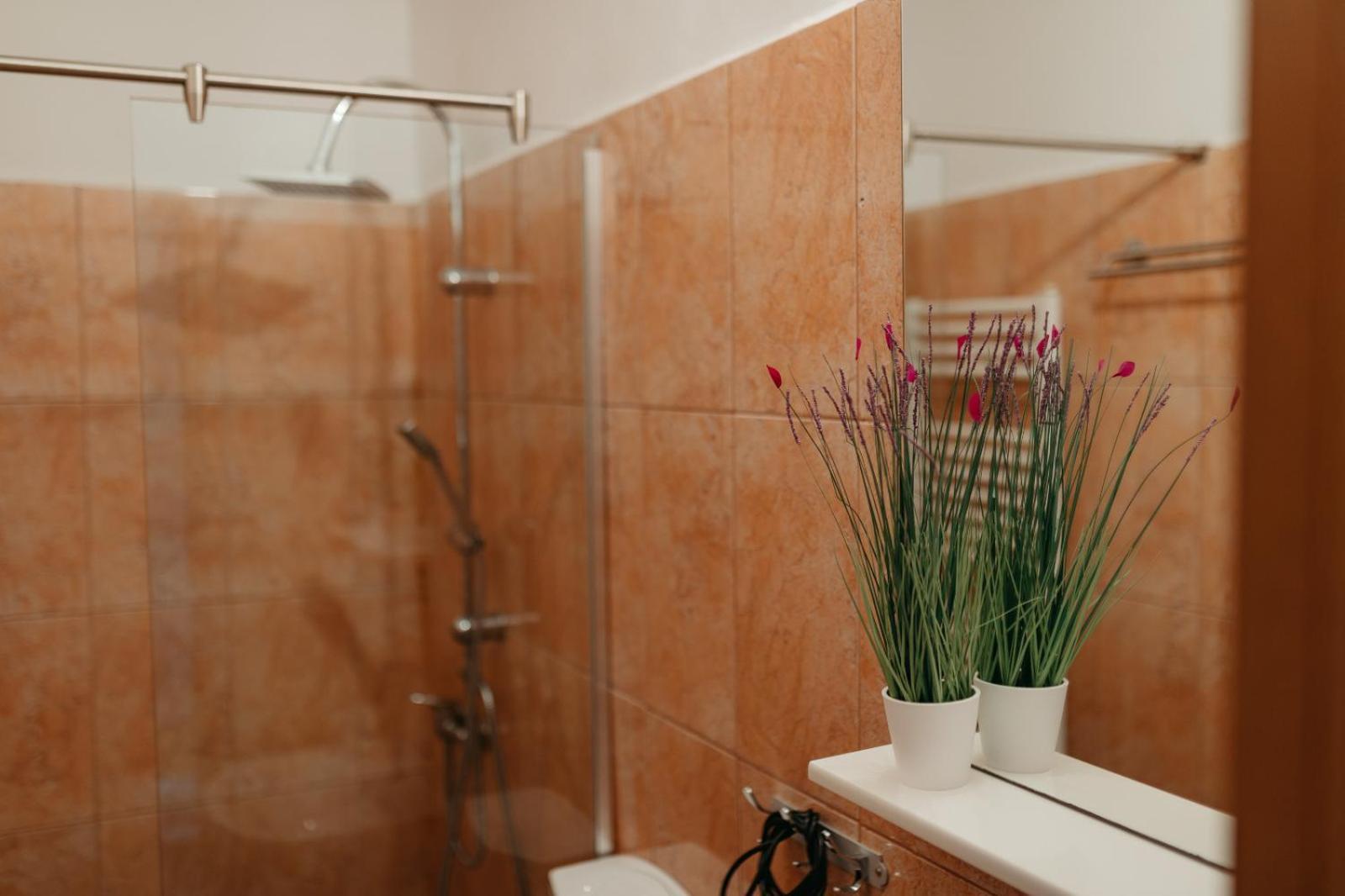 Flh - Apartament Mai Cu Aroma De Cafea Si Ceai Sibiu Eksteriør billede