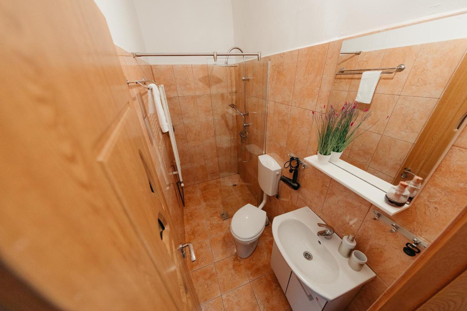 Flh - Apartament Mai Cu Aroma De Cafea Si Ceai Sibiu Eksteriør billede