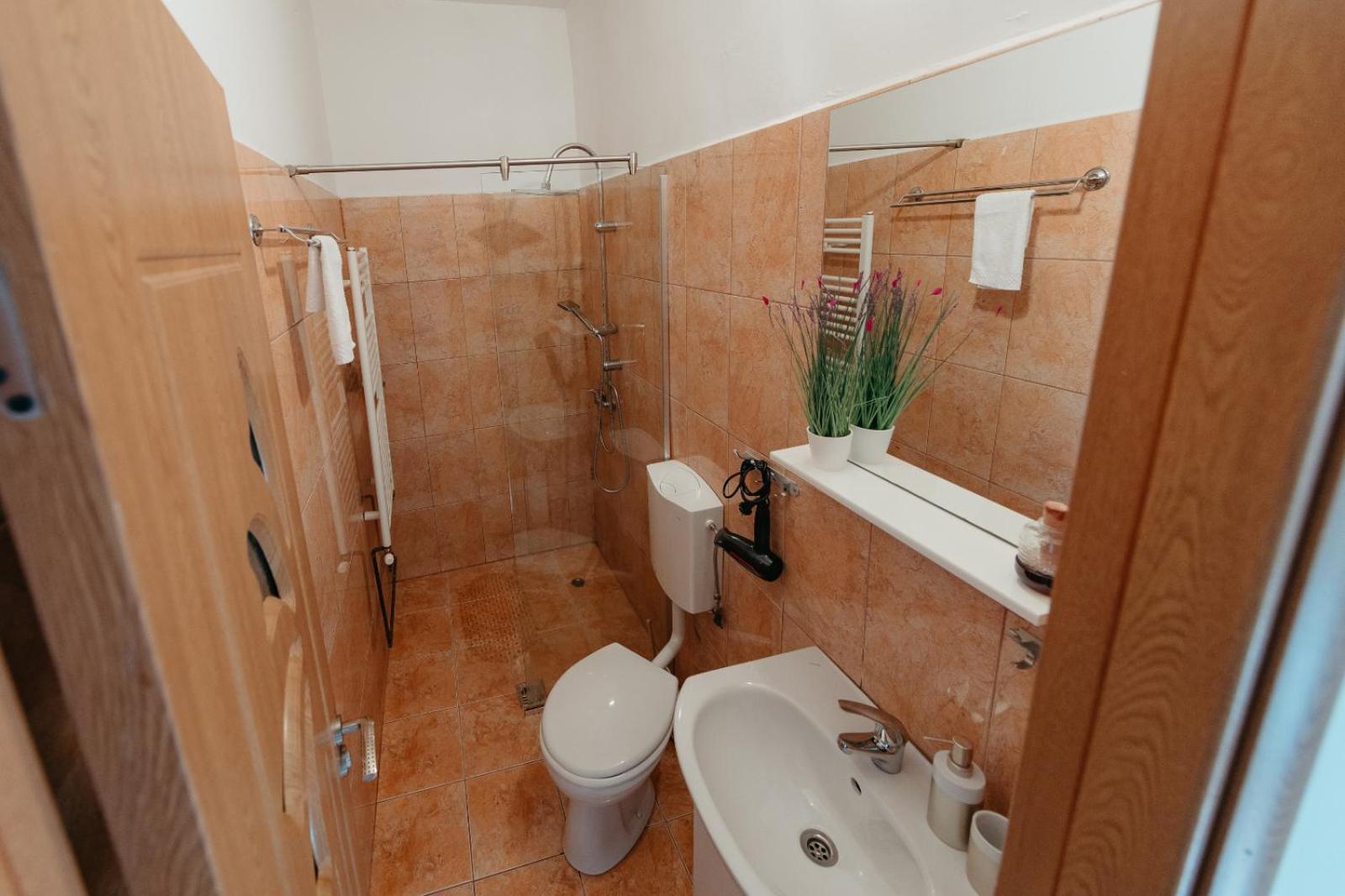 Flh - Apartament Mai Cu Aroma De Cafea Si Ceai Sibiu Eksteriør billede