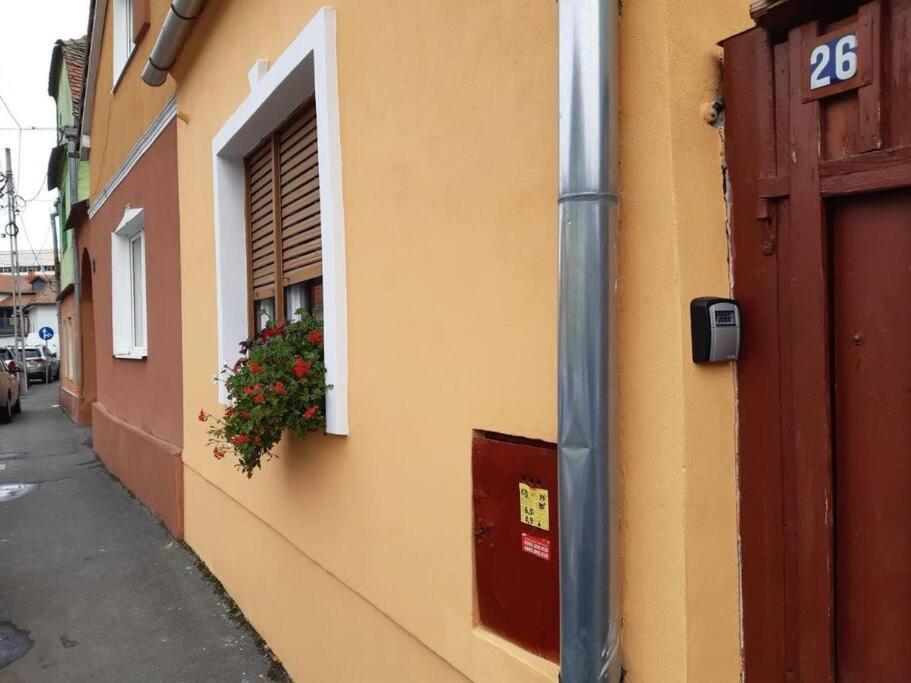 Flh - Apartament Mai Cu Aroma De Cafea Si Ceai Sibiu Eksteriør billede